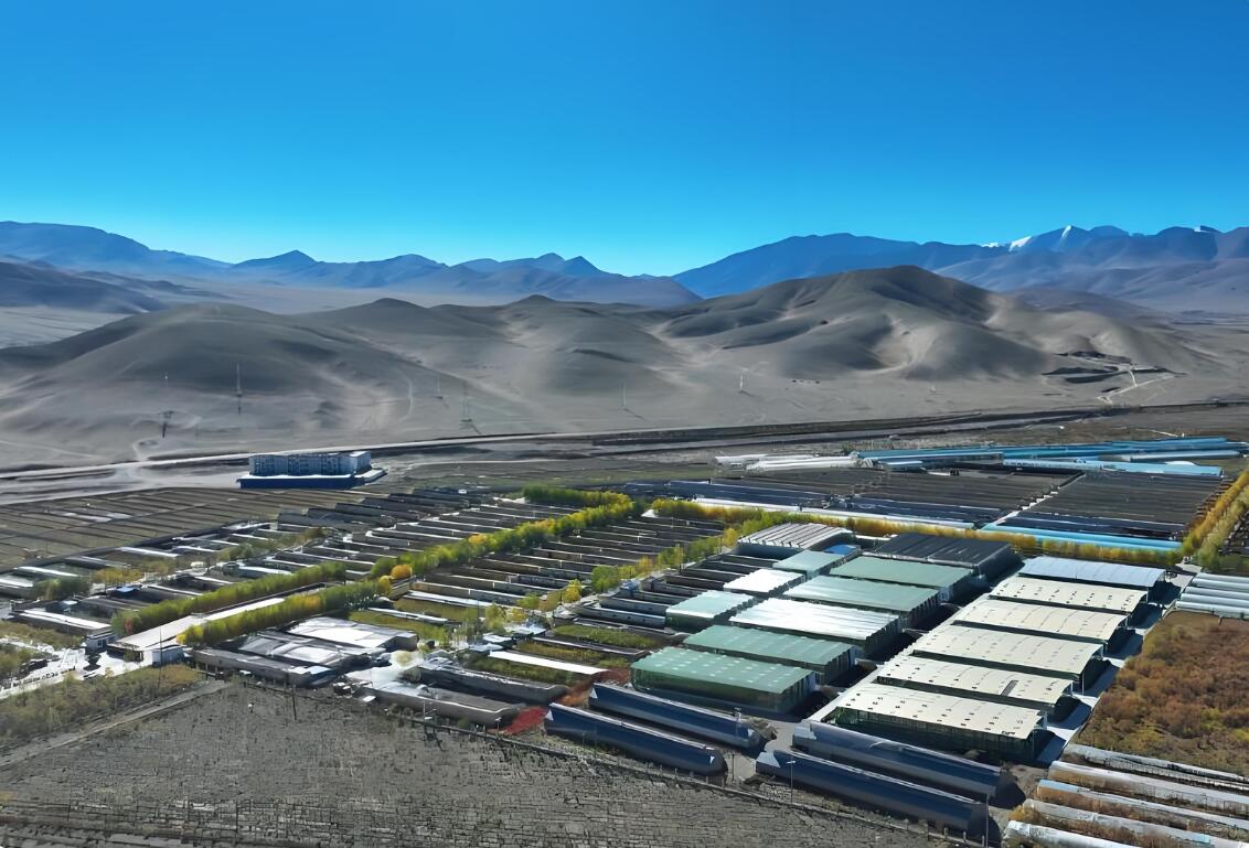 阿里1.jpg