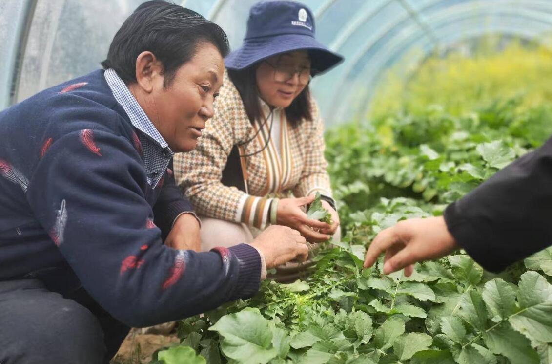 阿里3.jpg
